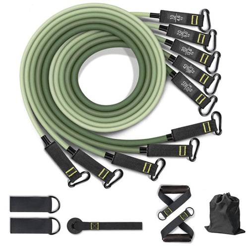 ACADEMIA PORTÁTIL ELITE 5X RESISTANCE - 68Kg